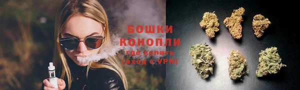 гидра Бронницы