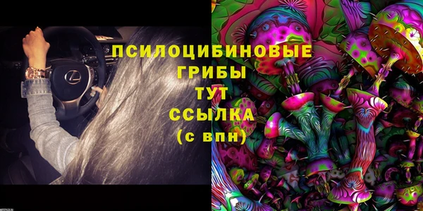 герыч Бородино