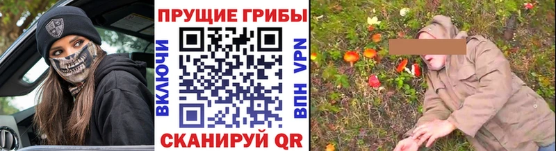 Купить где  Горнозаводск  Галлюциногенные грибы Psilocybe 